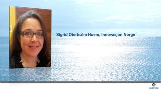 Sigrid Oterholm Hoem, Innovasjon Norge