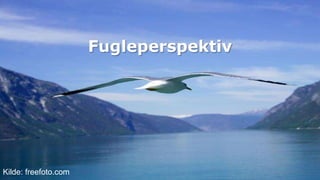 FugleperspektivKilde: freefoto.com