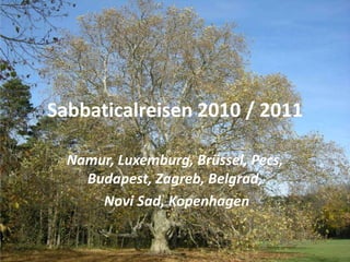 Sabbaticalreisen 2010 / 2011

  Namur, Luxemburg, Brüssel, Pecs,
    Budapest, Zagreb, Belgrad,
      Novi Sad, Kopenhagen
 