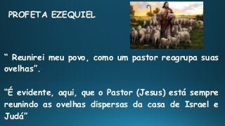 PROFETA EZEQUIEL
“ Reunirei meu povo, como um pastor reagrupa suas
ovelhas”.
“É evidente, aqui, que o Pastor (Jesus) está sempre
reunindo as ovelhas dispersas da casa de Israel e
Judá”
 