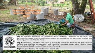 Tag 7: Ayahuasca Produktion und Herstellung (Praxis Workshop), Wortzirkel um das Feuer, Yagé
Zeremonie (Ayahuasca Ritual), Icaros (Medizin Lieder), Schnupftabak und das Brennnessel Ritual zur Aura
Reinigung, Unterkunft Finca Inti Waira
Tag 8: Wanderung, Erkundung der Region (Dauer:2-3h), Individuelle Beratung mit dem Schamane
Gerardo Silva, Wortzirkel um das Feuer, Yagé Zeremonie (Ayahuasca Ritual), Icaros (Medizin Lieder),
Schnupftabak und das Brennnessel Ritual zur Aura Reinigung
Tag 9: Gruppen Beratung mit dem Schamane Gerardo Silva
 