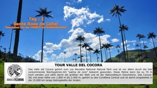 ‘
TOUR VALLE DEL COCORA
Das Valle del Cocora gehört zum Los Nevados National Natural Park und ist vor allem durch die hier
vorkommende Wachspalmen-Art “palma de cera” bekannt geworden. Diese Palme kann bis zu 70 m
hoch werden und zählt damit die größten der Welt und ist der Nationalbaum Kolumbiens. Das Cocora-
Tal, mit einer Höhe von 1.800 m bis 2.400 m, gehört zu den Cordillera Central und ist damit eingebettet in
die 15.000 km lange Gebirgskette der Anden.
 