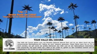 ‘
TOUR VALLE DEL COCORA
Das Valle del Cocora gehört zum Los Nevados National Natural Park und ist vor allem durch die hier
vorkommende Wachspalmen-Art “palma de cera” bekannt geworden. Diese Palme kann bis zu 70 m
hoch werden, sie gilt somit als größte Palmenart der Welt und ist der Nationalbaum Kolumbiens.
Das Cocora-Tal, mit einer Höhe von 1.800 m bis 2.400 m, gehört zu den Cordillera Central und ist
eingebettet in die 15.000 km lange Gebirgskette der Anden.
 