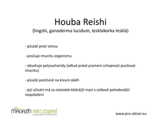 Houba Reishi
(lingzhi, ganoderma lucidum, lesklokorka lesklá)
www.pro-zdravi.eu
- působí proti stresu
- posiluje imunitu organismu
- obsahuje polysacharidy (odtud právě pramení schopnost posilovat
imunitu)
- působí pozitivně na krevní oběh
- její užívání má za následek klidnější mysl a celkově pohodovější
rozpoložení
 