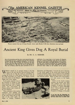 A -
The AMERICAN KENNEL GAZETTE
Edited byLouis deCasanova ‘
vol. 55-No. 5 May 1, 1938
Western cemetery from top of Cbeops Pyramid. Arrow marks Mastaba G 2188 where Abuwtiyuw stone was found
Ancient King Gives Dog A Royal Burial
By DR. G. A. REISNER
Out of the mysterious past has come a most unusual dog story.
It was written by Dr. G. A. Reisner who has been excavating
in Egypt with the Harvard-Boston Expedition. It is the true
tale of a dog that, after its death, was honored by the King
of Upper and Lower Egypt thousands of years before the start
of the Christian era. The story was sent to the Museum of
Fine Arts in Boston, which has given permission for its re-
publication. In a recent letter to the GAZETTE,
H. Handrick,
who also is with the Expedition, states that he was unable to
identify any of the dogs in relief with pictures in the GAZETTE.
Dr. Reisner links them to the Saluki. However, it would seem
that they more resemble the Basenji, the so-called “barkless
dog,” which also comes from Africa. Regardless of the breed
portrayed, honor reflects on all members of the species.
HAT should be of unusual interest to all dog Mycerinus, and Shepseskaf. Towards the end of Dynasty
lovers is the fact that the Harvard-Boston Expe- IV the vacant spaces in the streets and around the old
WExpedition not so long ago found an inscription re- nucleus cemeteries began to be occupied by the mastabas
cording the burial of a dog named Abuwtiyuw with all of persons of lesser rank, officials, servants of the court,
the ritual ceremonies of a great man of Egypt, carried and funerary priests. Many of them were royal garden-
out by the orders of the King of ers with access to the king’s
Upper and Lower Egypt. person.
In the great cemetery west of North of the fourth nucleus
the Pyramid of Cheops at Giza cemetery the ground was filled
three groups of large mastaba- with medium and small sized
tombs were laid out in regular mastabas of persons who lived
streets and cross-streets by in Dynasty V (about 2700-2600
Cheops himself, and a fourth by B.C.) And on the east, near the
his son Chephren. northwestern corner of the
These mastabas of the nucleus Pyramid of Cheops, is the great
cemeteries were finished and
used for princes and princesses
of the royal family and for offi-
cials of the court under the
reigns of Cheops, Chephren,
It was here that the Abuwtiyuw in-
scription stone bad been re-set, after it
bad been taken from an earlier tomb
May 1, 1938 7
 