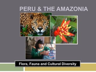 Peru & the Amazonia Flora, Fauna and Cultural Diversity 