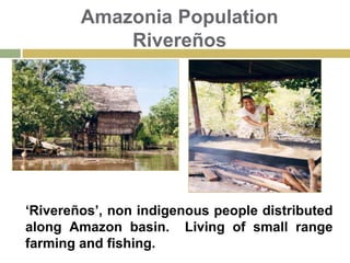 Motto: Carpent Tua Poma Nepotes: Tus hijos cosecharan tus frutos (Your children will harvest your fruits)Peru & The Amazon BasinAmazon Basin 7.2 million km2.Brazil, Bolivia, Colombia, Ecuador, Guyana and Venezuela. Brazil 67%, Peru 13 %. Around 80% of the Amazon basin.Peru: 660,000 km2 forest.