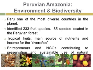 Demographic InformationTotal Population : 3.7 million (INEI 2007) of total 29 million.Indigenous Population: over 300 000 people.53 ethnic groups and 13 linguistic families: Arahuaca (38.6%), Jíbaro (24%), Quechua (10.9%), Pano (9.1%), Cahuapana (6.5%), Tupi Guarani (3.4%), Peba-Yagua (1.7%), Huitoto (0.8%), Harakmbut-Harakmbet (0.6%), Tucano (0.3%), Zaparo (0.3%), Tacana (0.2%), Sin clasificación (3.6%) Most common languages: Spanish (official), Ashaninka and Aguaruna.