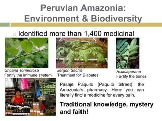 Amazonia PopulationIndigenous Arahuaca ‘ The Artisan’ Huitoto ‘The Believer’ Jíbaro “The Head Reducer”Motto: Carpent Tua Poma Nepotes: Tus hijos cosecharan tus frutos (Your children will harvest your fruits)Harakmbut-HarakmbetPeba-Yagua
