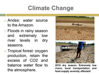 The Amazon Basin, geographical and cultural fraternityShared tribes: The Ticuna  people, living in Brazil, Colombia and Peru.Peru, Brazil and Colombia: yearly International Fraternity Festival“We were born in a region called, Amazonas.  We are a special community, wild like our rivers and generous like our soils. We learn to drink water from the trees y and to wait until nature provides its sweet fruits” Vermelho (Fafá de Belém)