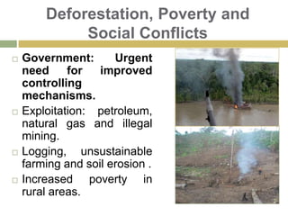 Peruvian Amazonia: Environment & BiodiversityPeru one of the most diverse countries in the planet.Identified 233 fruit species.  85 species located in the Peruvian forestTropical fruits: main source of nutrients and income for the “rivereños”Entrepreneurs and NGOs contributing to preservation and sustainable use of natural resources.