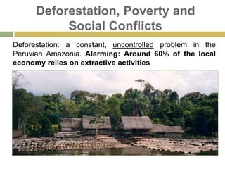 Peruvian Amazonia: Environment & BiodiversityVast hydrological resources. A conservative estimate: 2500 to 3000 species.Boquichico: Fishing in an fishing farm. Paiche(Arapaima Gigas) The giant of the Amazon