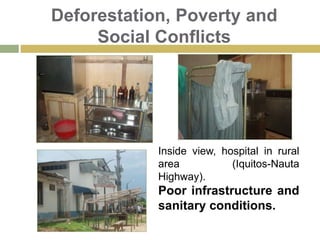Climate Change Andes: water source to the Amazon.Floods in rainy season and extremely low river levels in dry seasons.Tropical forest: oxygen production, retain the excess of CO2 and balance water flow to the atmosphere.2010 dry season. Extremely low rivers, local transportation and food supply severely affected!
