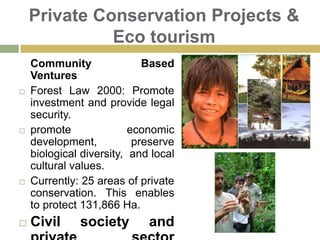 Deforestation, Poverty and Social ConflictsDeforestation: a constant, uncontrolled problem in the Peruvian Amazonia. Alarming: Around 60% of the local economy relies on extractive activities