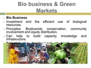 Deforestation, Poverty and Social ConflictsInside view, hospital in rural area (Iquitos-Nauta Highway).Poor infrastructure and sanitary conditions.