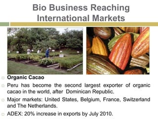 Deforestation, Poverty and Social ConflictsBagua conflict 2009: Against oil and lumber exploitation.40 indigenous and 12 police men death.Agreement 169 ILO: Government must consult indigenous people over land and resources.Who is right? Who is wrong?Wake up call!: create alternative mechanism for development! Stop looking for responsibles, and start working on solutions!