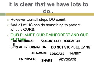 Empower Local farmers and entrepreneurs like..Don Lucho & Irapay palm cooperative So, he and his community can meet the local demand for Irapay palm.