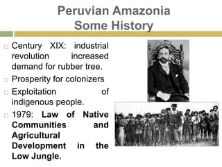 Peruvian Amazonia Some HistoryCentury XIX: industrial revolution increased demand for rubber tree. Prosperity for colonizers Exploitation of indigenous people.1979: Law ofNative Communities and Agricultural Development in the Low Jungle.