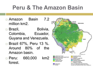 My City: Iquitos  Founded 1828.