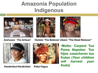 Eco-regions: Omagua 70 – 400 m. Rupa Rupa400 – 1000 m.I was born here!Motto: Carpent Tua Poma Nepotes: Tus hijos cosecharan tus frutos (Your children will harvest your fruits)