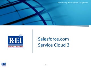 REI Systems, Inc.



                    Salesforce.com
                    Service Cloud 3


                       1
 