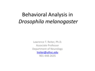 Behavioral Analysis in 
Drosophila melanogaster 
Lawrence T. Reiter, Ph.D. 
Associate Professor 
Department of Neurology 
lreiter@uthsc.edu 
901-448-2635 
 