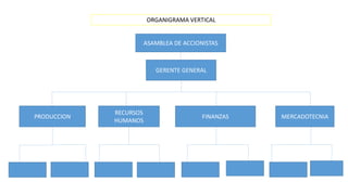 ORGANIGRAMA VERTICAL 
ASAMBLEA DE ACCIONISTAS 
GERENTE GENERAL 
PRODUCCION 
RECURSOS 
HUMANOS 
FINANZAS MERCADOTECNIA 
 