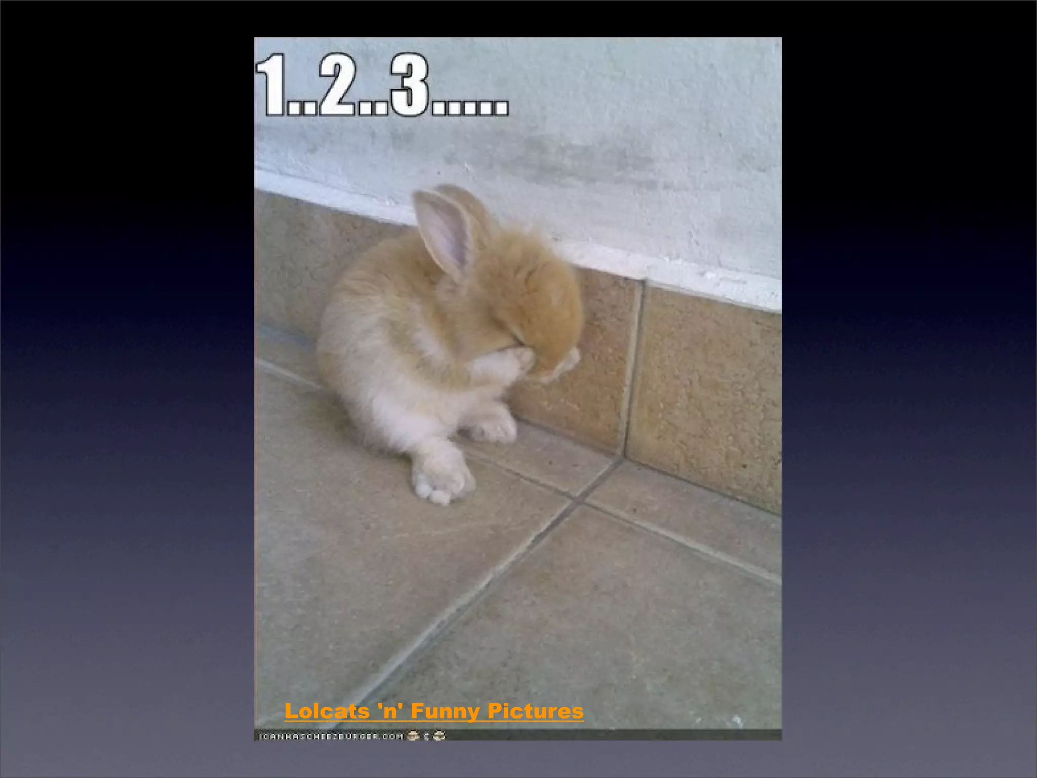 RejectFesta札幌 LightningTalk資料