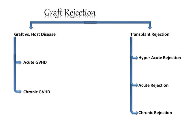 organ transplantation and rejection organ rejection