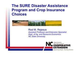 The SURE Disaster Assistance Program and Crop Insurance Choices Rod M. Rejesus Assistant Professor and Extension Specialist Dept. of Ag. and Resource Economics NC State University 