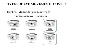 OCULAR MOTILITY, OCULAR MOVEMENT OF THE EYE .pptx