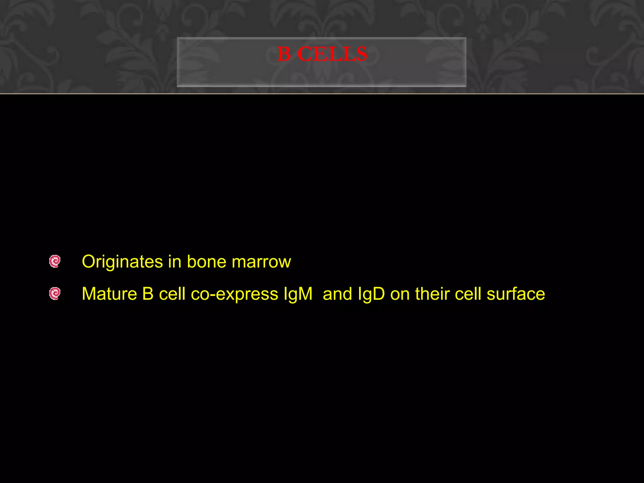  Pancreatic beta cells