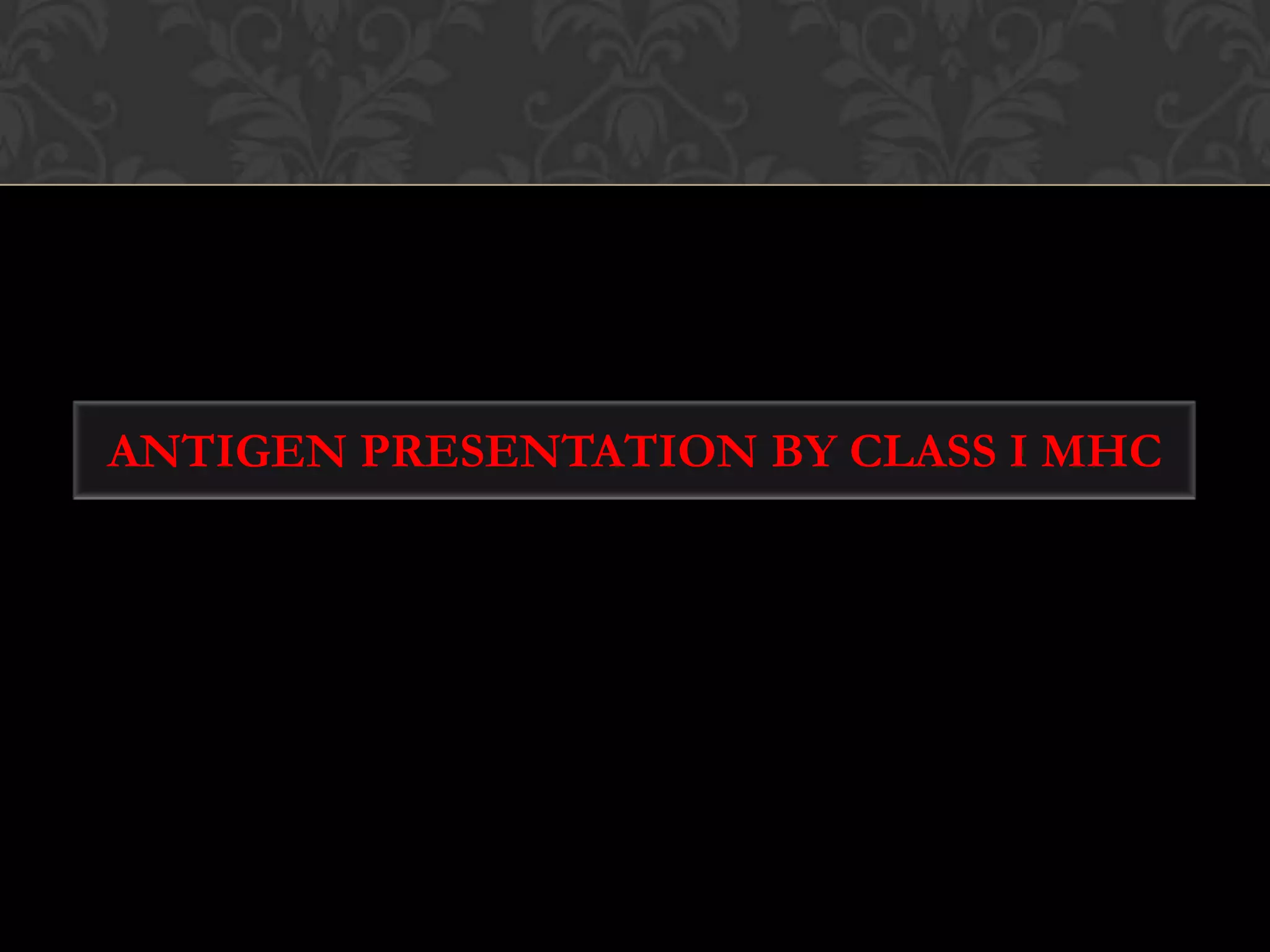 SELF MHC RESTRICTION OF T CELLCD 4+ and CD 8+ cells recognize antigen only in presence of MHC MHC I + peptides  » CD 8+ T Cell 