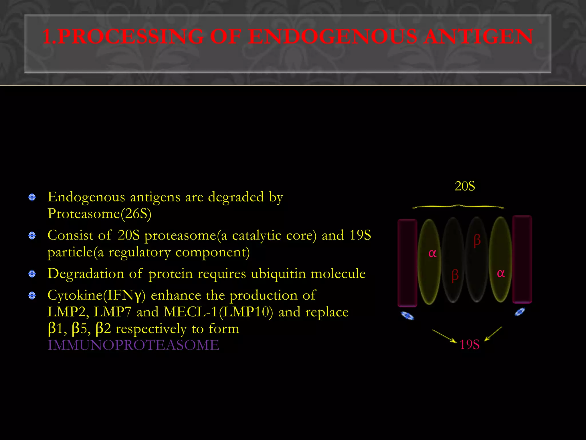 PMhc class iα2α1α3* α1, α2, α3 are the domains of α chain,45kDa* β2 microglobulin ,12kDa,small soluble domain* P->Peptide-binding site* T->Hydrophobic Transmembrane segment* ER.M->Endoplasmic reticulum membrane* C->Hydrophilic Cytoplasmic tailβ2ER.MTC