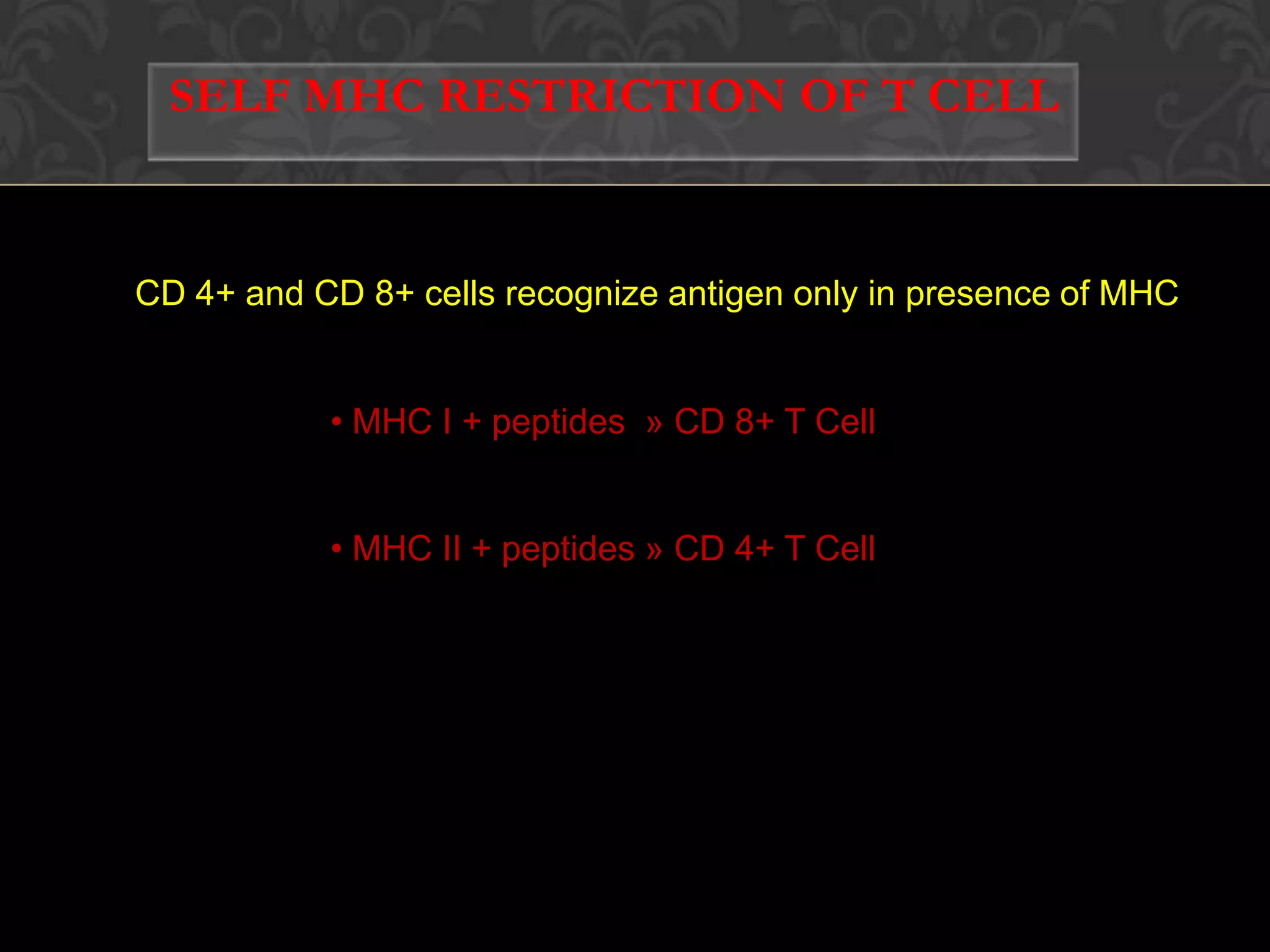  vascular endothelial cellsDENDRITIC CELLSFirst found by Steinman in 1973Cultured in vitro in 1993 by InabaGenerated  from bone marrow in presence of cytokine granulocyte-macrophage colony stimulating factorCan stimulate naive T cell 