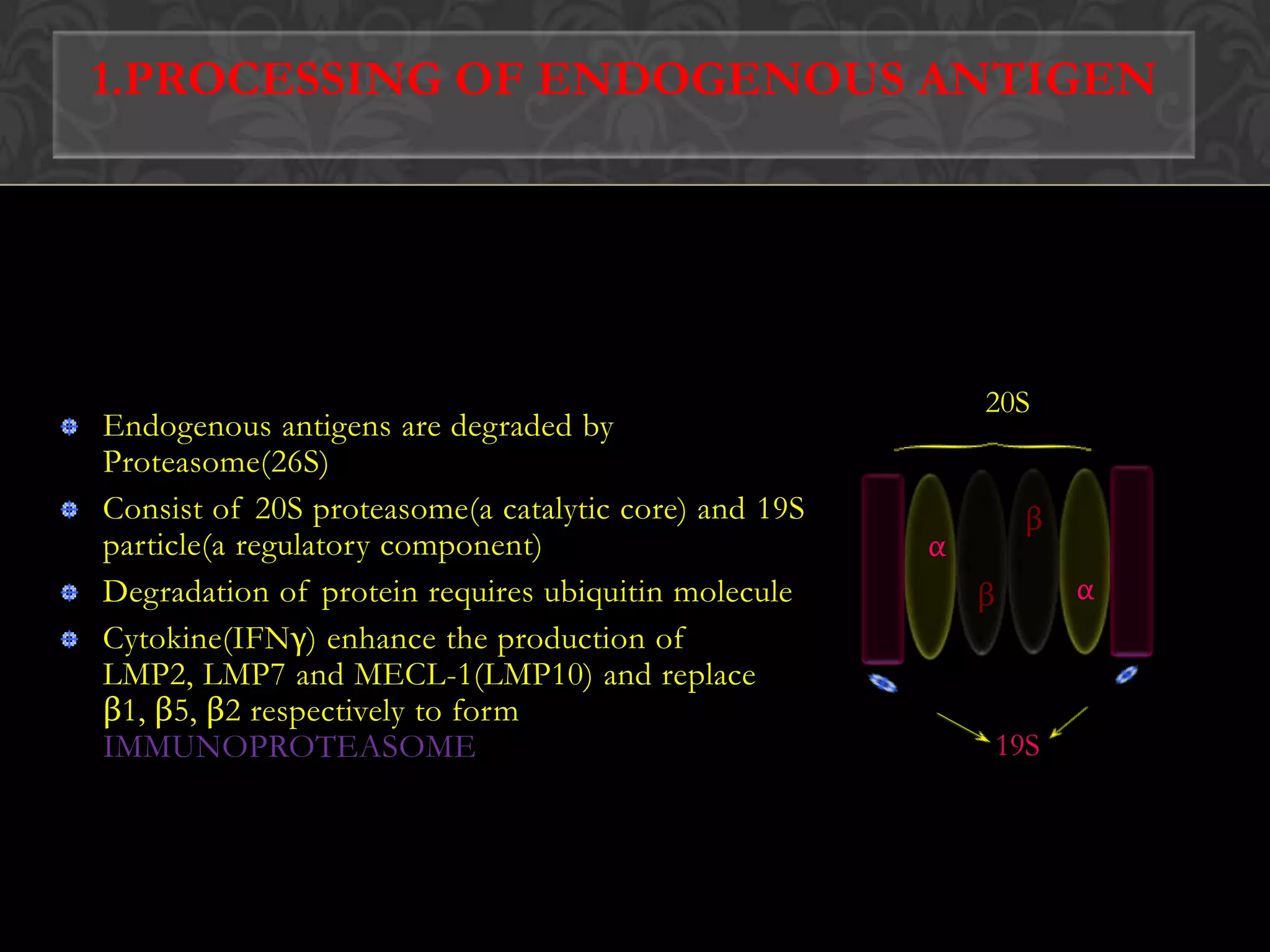 PMhc class iα2α1α3* α1, α2, α3 are the domains of α chain,45kDa* β2 microglobulin ,12kDa,small soluble domain* P->Peptide-binding site* T->Hydrophobic Transmembrane segment* ER.M->Endoplasmic reticulum membrane* C->Hydrophilic Cytoplasmic tailβ2ER.MTC