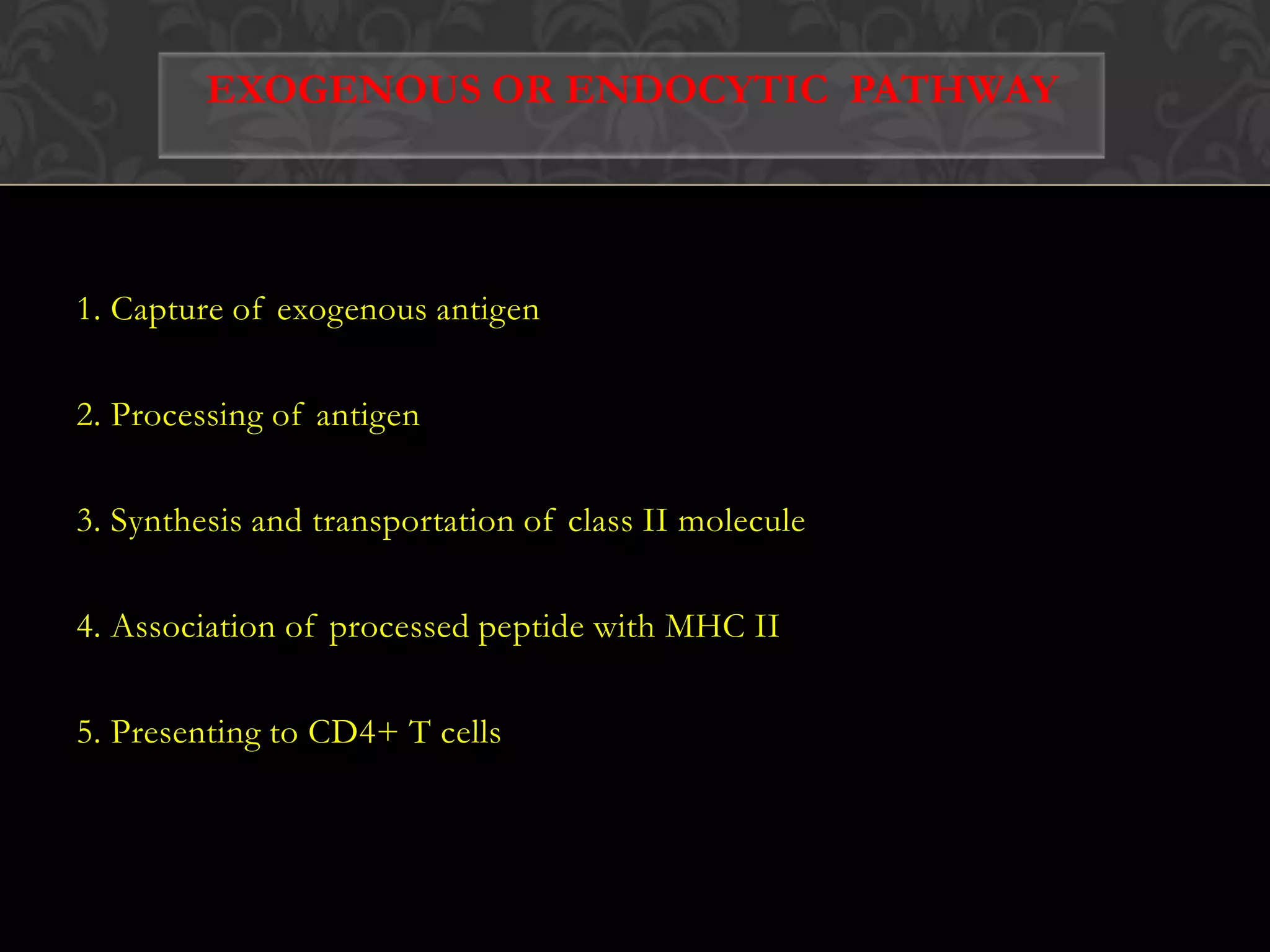 HydrophobictransmembranedomainLumen of ERPeptideER membraneTAP-1TAP-2CytosolATP-binding cassette(ABC) domainPeptide antigensfrom proteasomeTransporters associated with antigen processing (tap1 & tap2)