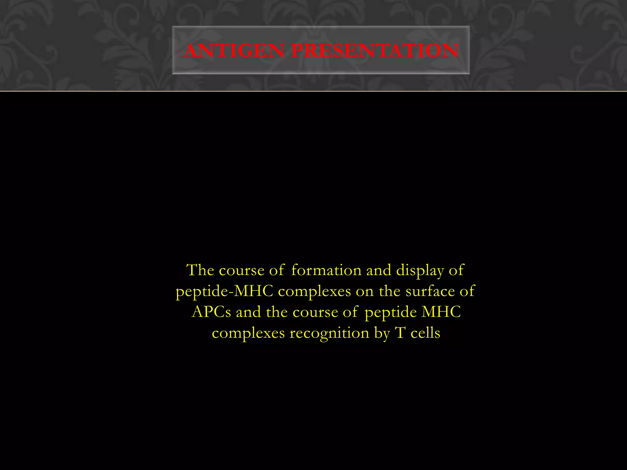 ANTIGEN PRESENTATIONThe course of formation and display of peptide-MHC complexes on the surface of APCs and the course of peptide MHC complexes recognition by T cells