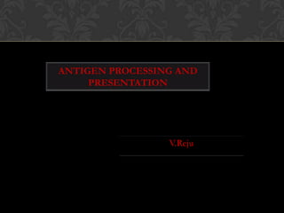 ANTIGEN PROCESSING AND PRESENTATION V.Reju 