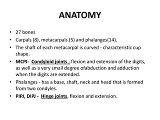 ANATOMY
• 27 bones
• Carpals (8), metacarpals (5) and phalanges(14).
• The shaft of each metacarpal is curved - characteristic cup
shape.
• MCPJ- Condyloid joints , flexion and extension of the digits,
as well as a very small degree ofabduction and adduction
when the digits are extended.
• Phalanges - has a base, shaft, neck and head that is formed
from two condyles.
• PIPJ, DIPJ - Hinge joints, flexion and extension.
 