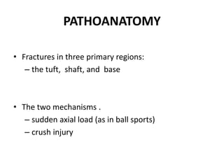 PATHOANATOMY
• Fractures in three primary regions:
– the tuft, shaft, and base
• The two mechanisms .
– sudden axial load (as in ball sports)
– crush injury
 