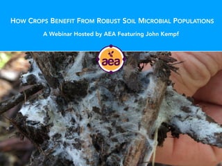 HOW CROPS BENEFIT FROM ROBUST SOIL MICROBIAL POPULATIONS
A Webinar Hosted by AEA Featuring John Kempf
 