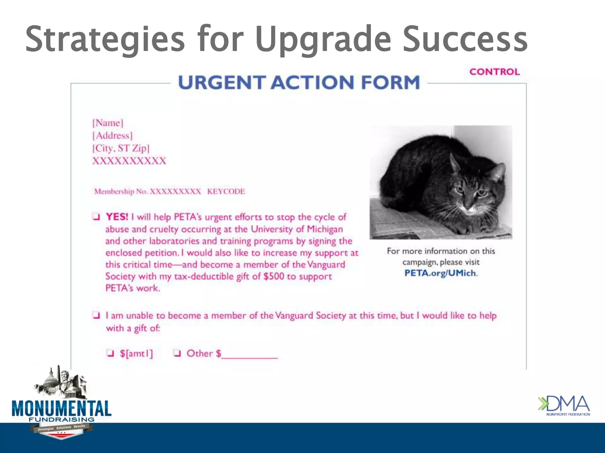 Strategies for Upgrade Success
 