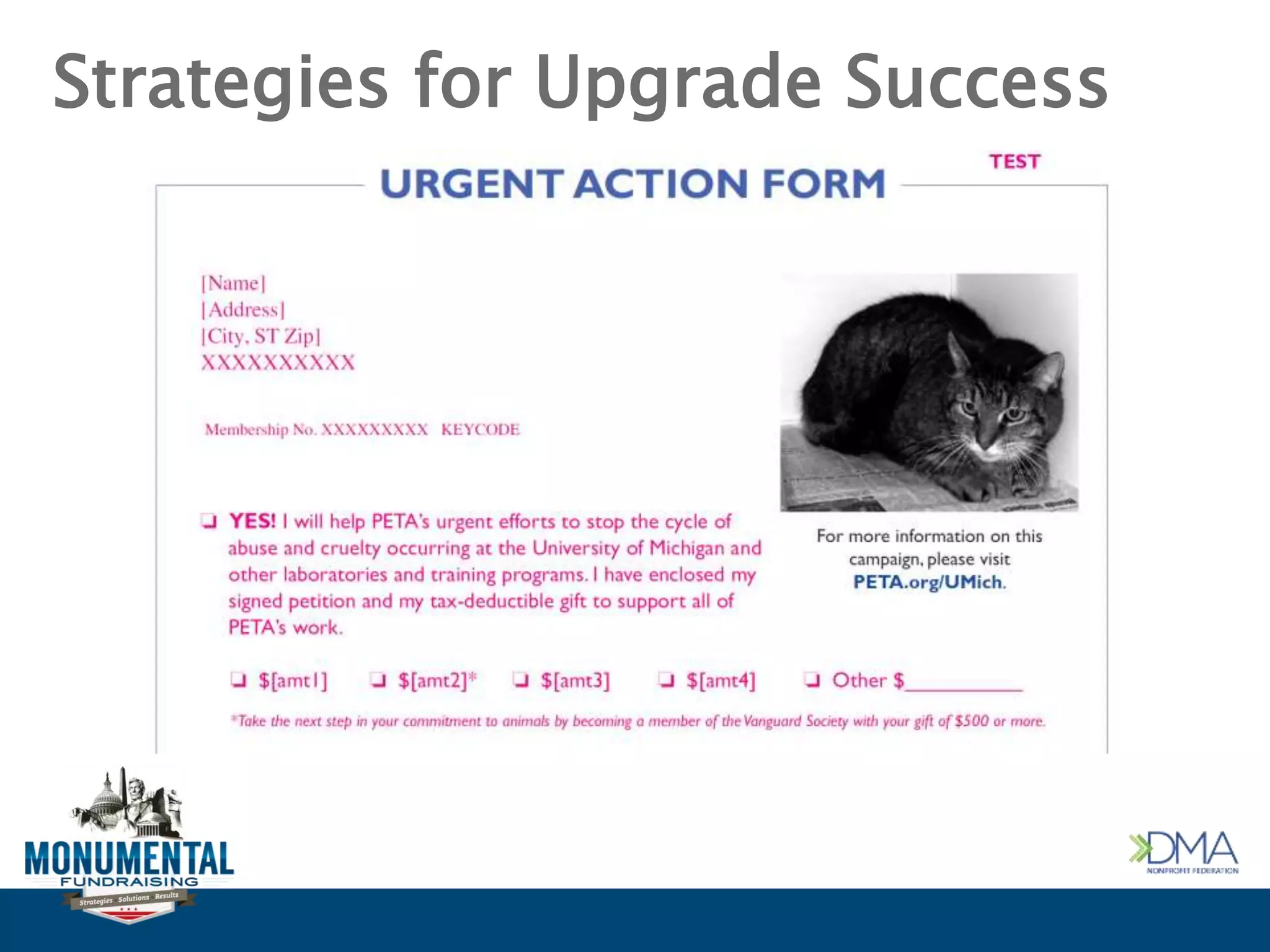 Strategies for Upgrade Success
 