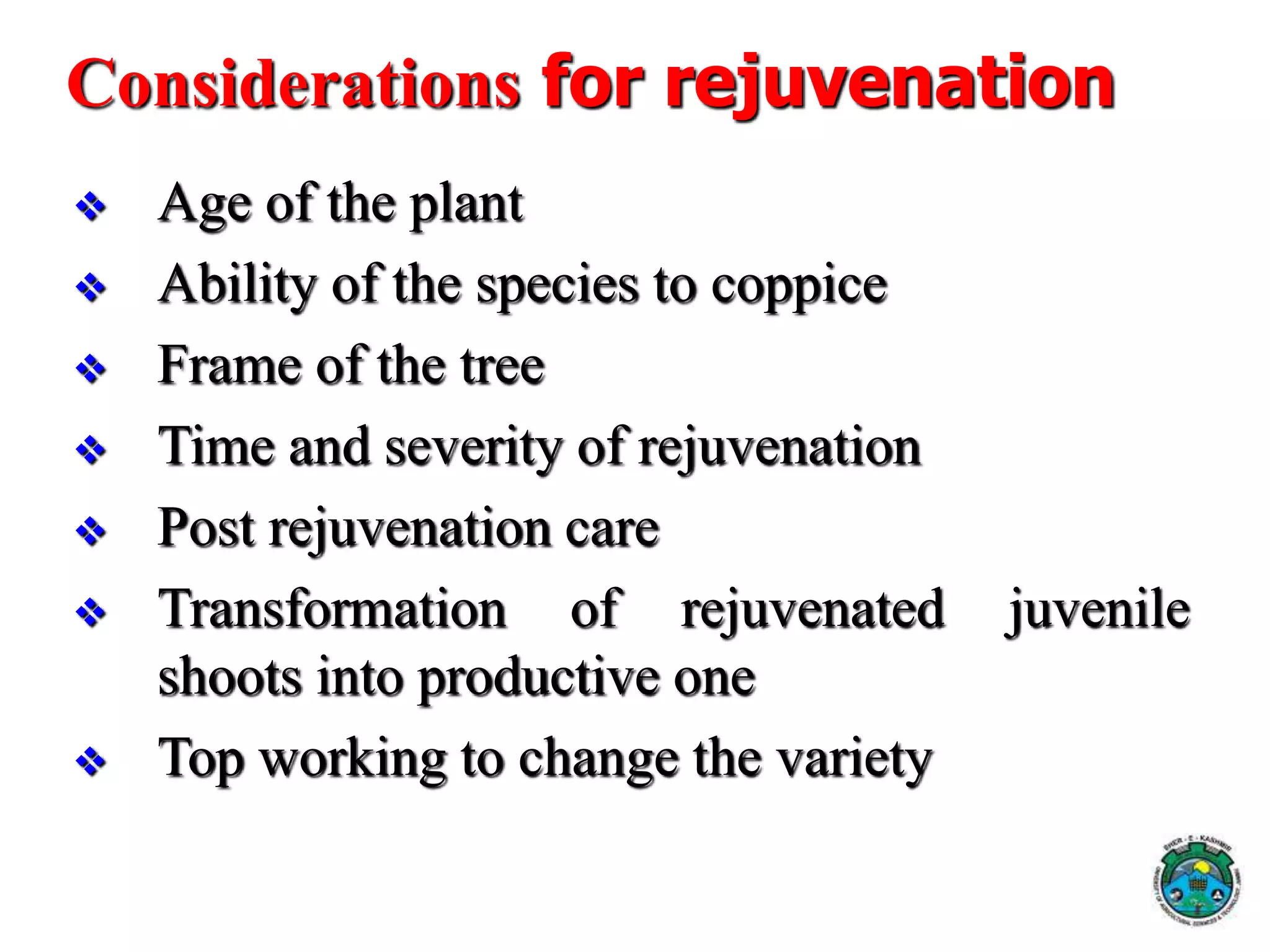 Considerations for rejuvenation
 Age of the plant
 Ability of the species to coppice
 Frame of the tree
 Time and severity of rejuvenation
 Post rejuvenation care
 Transformation of rejuvenated juvenile
shoots into productive one
 Top working to change the variety
 