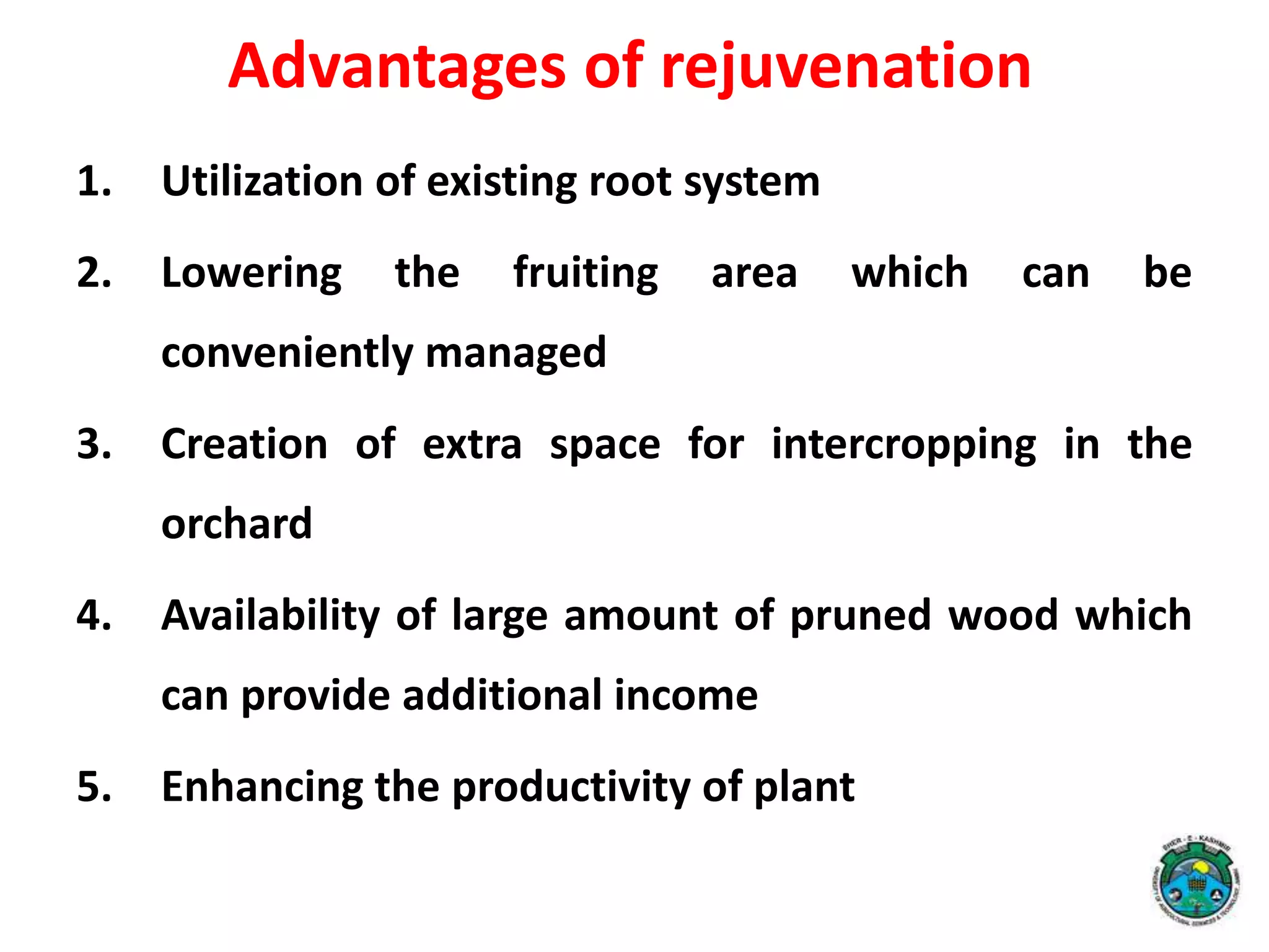 Advantages of rejuvenation
1. Utilization of existing root system
2. Lowering the fruiting area which can be
conveniently managed
3. Creation of extra space for intercropping in the
orchard
4. Availability of large amount of pruned wood which
can provide additional income
5. Enhancing the productivity of plant
 