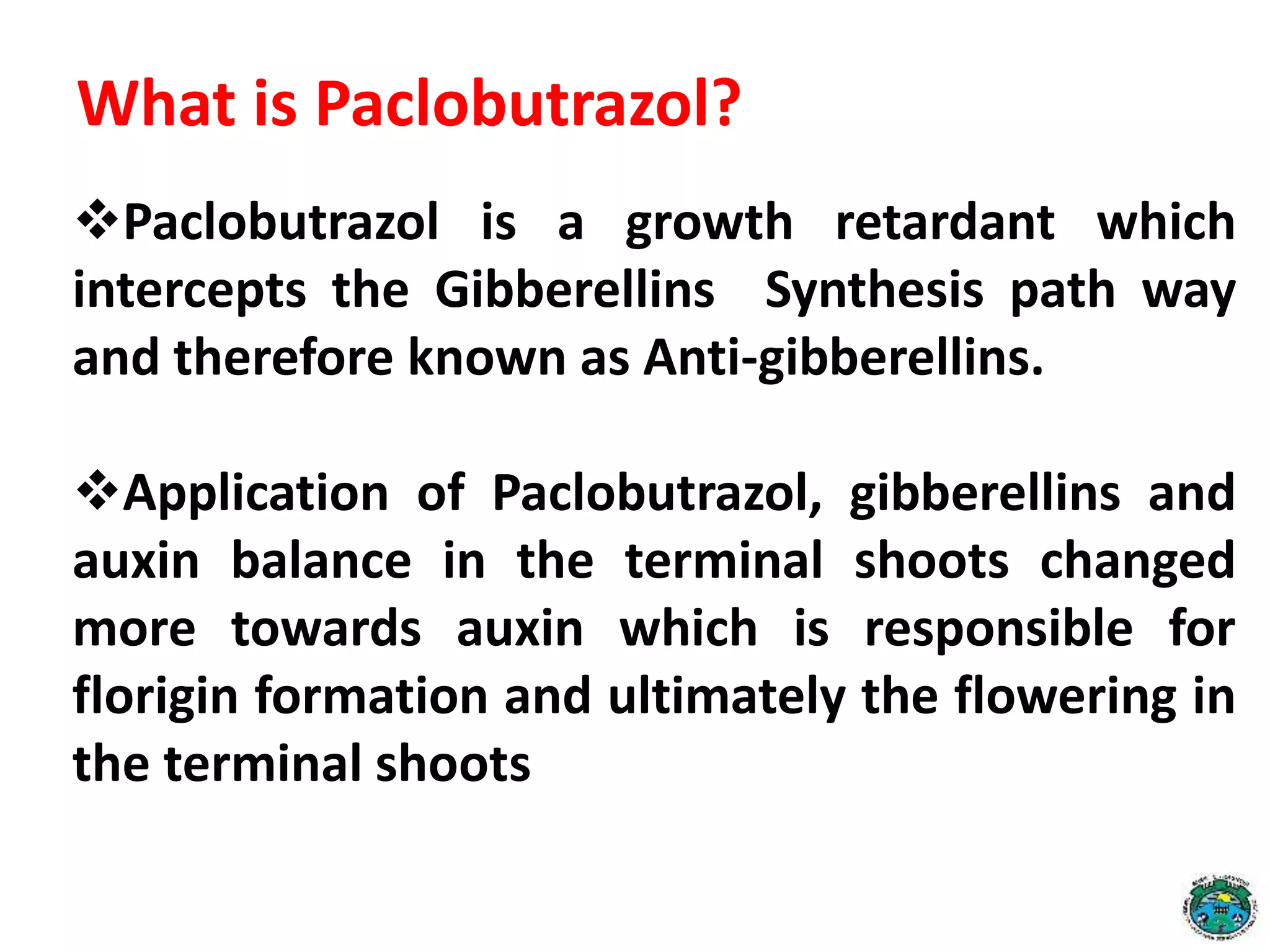 What is Paclobutrazol?
Paclobutrazol is a growth retardant which
intercepts the Gibberellins Synthesis path way
and therefore known as Anti-gibberellins.
Application of Paclobutrazol, gibberellins and
auxin balance in the terminal shoots changed
more towards auxin which is responsible for
florigin formation and ultimately the flowering in
the terminal shoots
 