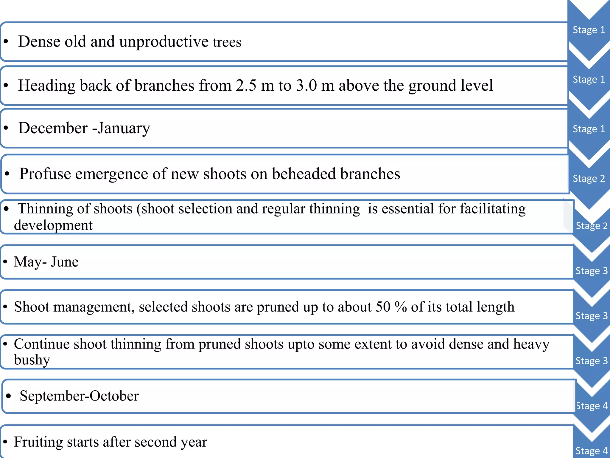 Stage 1
• Dense old and unproductive trees
Stage 1
• Heading back of branches from 2.5 m to 3.0 m above the ground level
Stage 1• December -January
Stage 2• Profuse emergence of new shoots on beheaded branches
Stage 2
• Thinning of shoots (shoot selection and regular thinning is essential for facilitating
development
Stage 3
• May- June
Stage 3
• Shoot management, selected shoots are pruned up to about 50 % of its total length
Stage 3
• Continue shoot thinning from pruned shoots upto some extent to avoid dense and heavy
bushy
Stage 4
• September-October
Stage 4
• Fruiting starts after second year
 