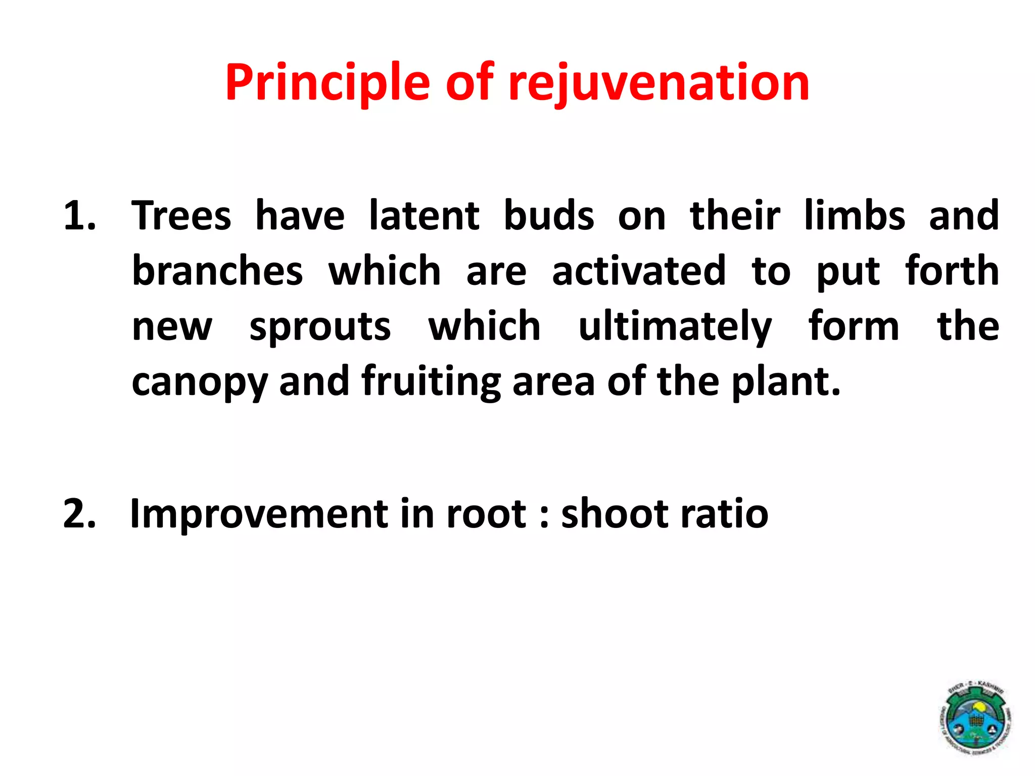 Principle of rejuvenation
1. Trees have latent buds on their limbs and
branches which are activated to put forth
new sprouts which ultimately form the
canopy and fruiting area of the plant.
2. Improvement in root : shoot ratio
 