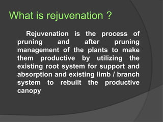 Rejuvenate Example Rejuvenation of old mango orchard | PPTX
